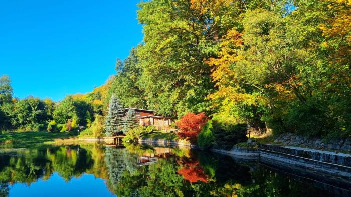 Basen Przesieka - drewniany dom z dużym stawem