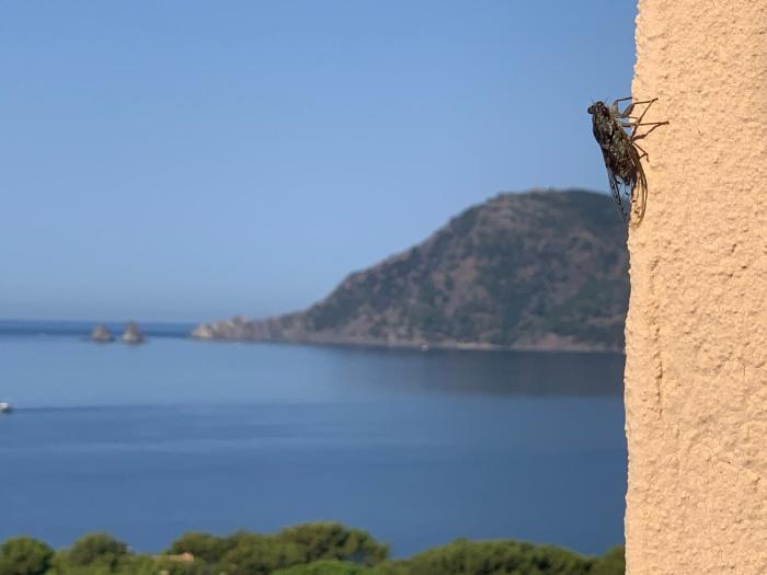 Appart vue mer panoramique magique