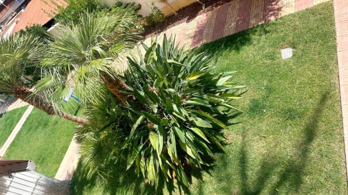 Apartamento familiar primera línea de playa