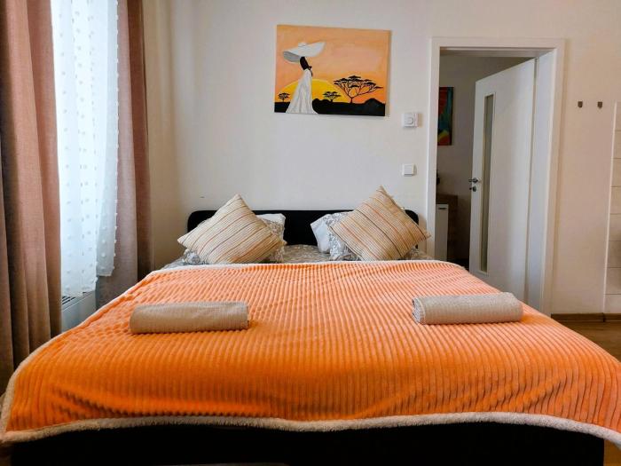 Apartment ČSA #4 in the Historic Center Hradec Králové