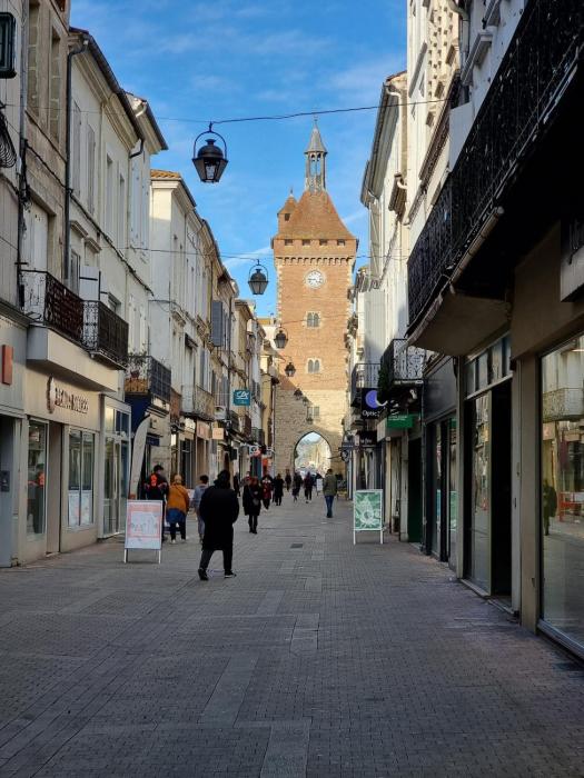 Stelina Haussmann - Appart 1 chambre avec balcon - Hypercentre