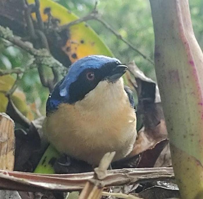 Aparta Estudio Rural en Casa de Campo