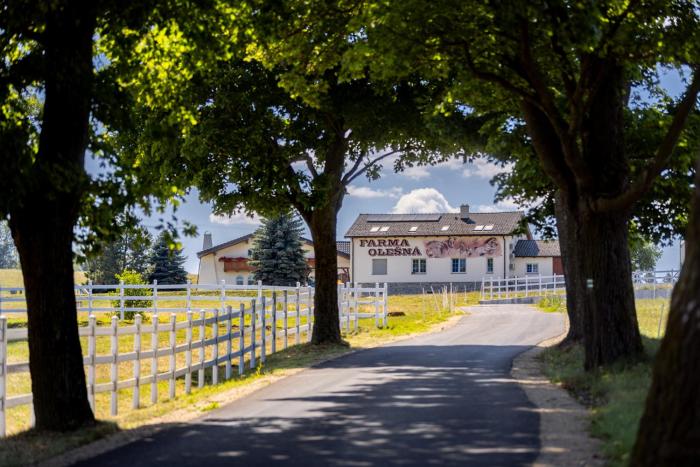 Luxusní apartmán Blonde farm