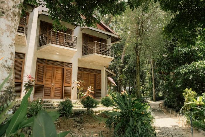 Ecolodge Bukit Lawang