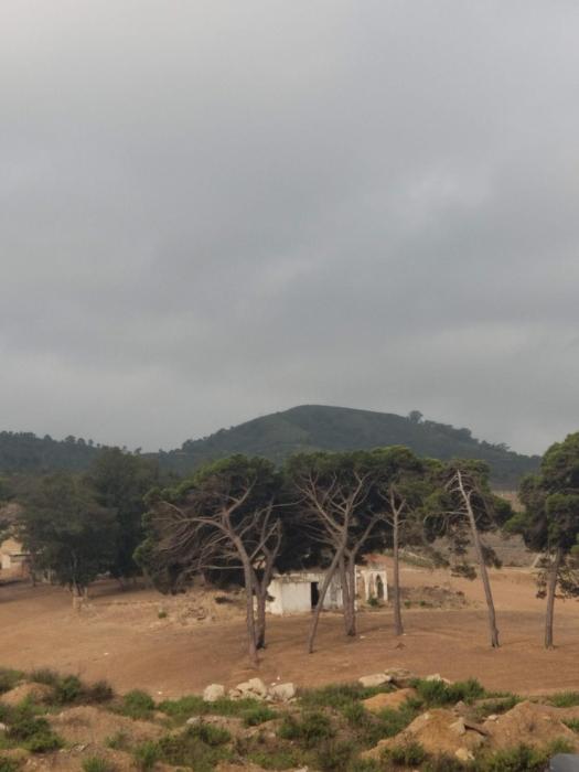 Panorama Mdiq