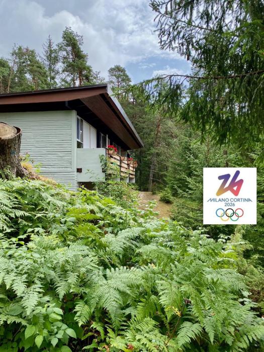 CaMugo, a chalet in the magic woods, near Cortina