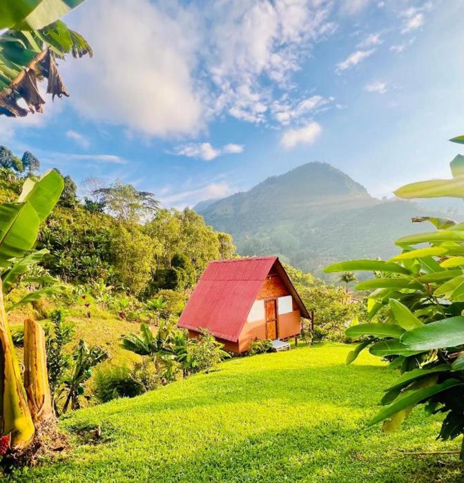 Hotel Cabañas Villa Loe Jardín
