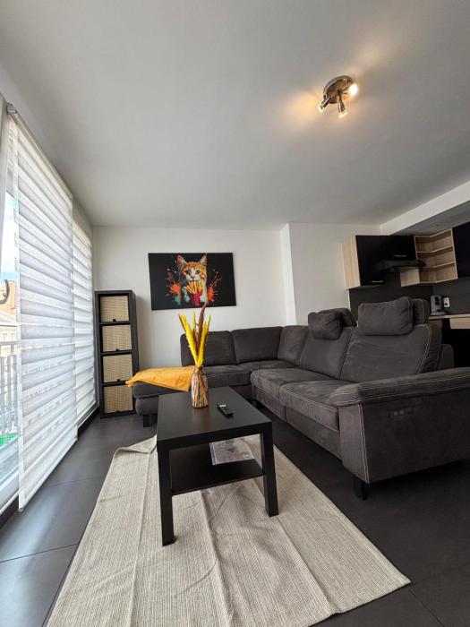 Appartement spacieux centre Huy