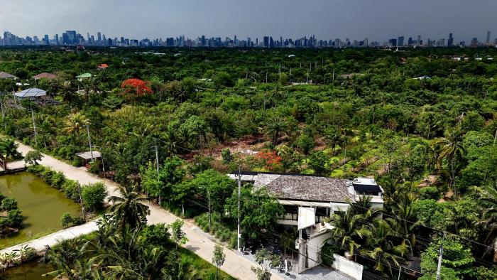 Coconut Lane Bangkok