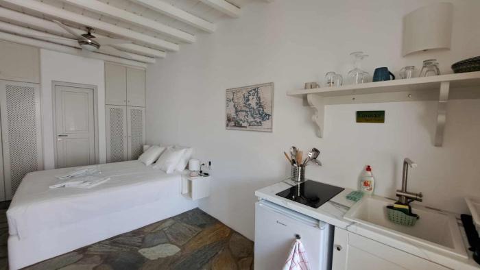 Lavender studio