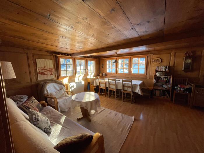 Swiss Chalet on slopes up to 10pax!