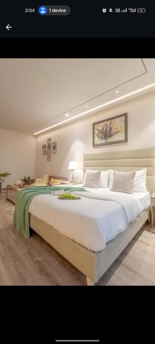 CEO suite in aipl joystreet