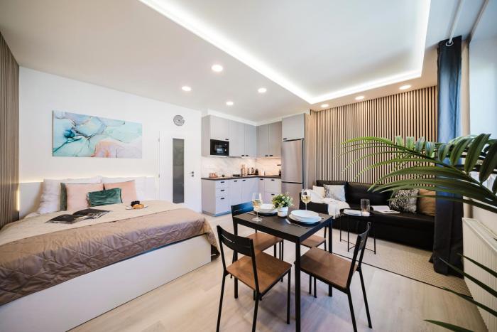 Prague Days - Vyšehrad Studio with TV, Netflix and 250Mbs WiFi