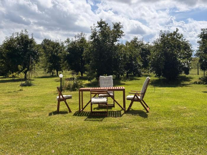 B&B Orto di Borghi