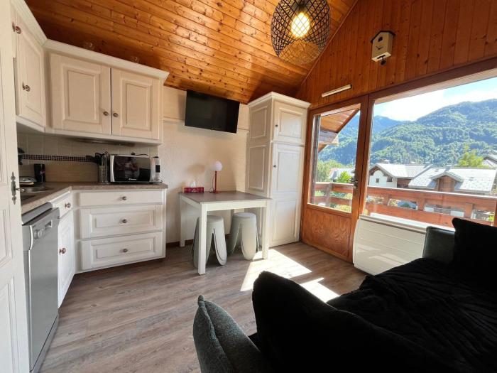 Studio cosy au centre de Samoëns, animaux acceptés - FR-1-624-183