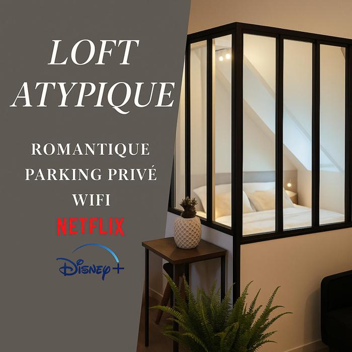 Appartement Atypique- Esprit Atelier Loft - parking privé - Wifi - vidéo