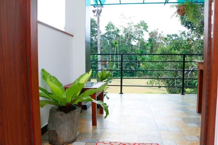 Paddy Aurora Villa