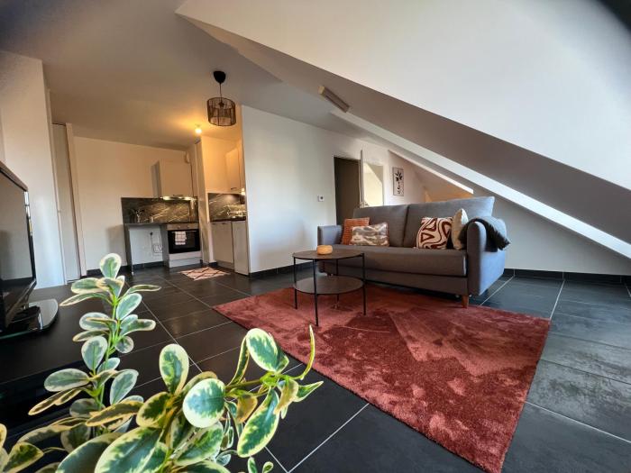 Télétravail pro - Calme, grand espace, plein centre