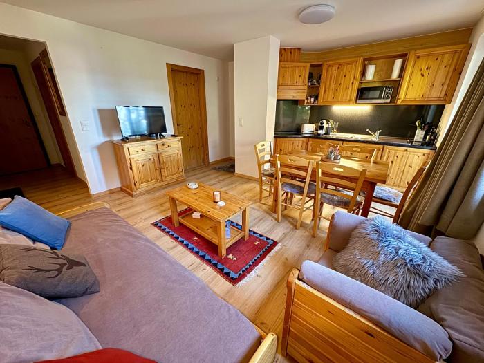 Cosy apartment ski in ski out in Haute Nendaz Pracondu