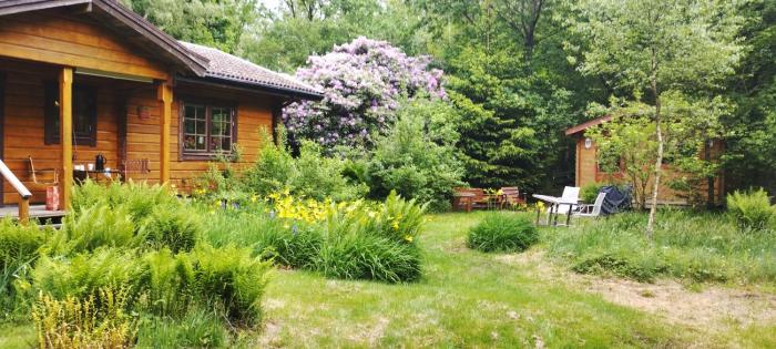 Charming holiday home at Söderåsen