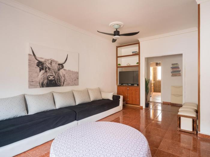 Live Las Palmas Wind Rose