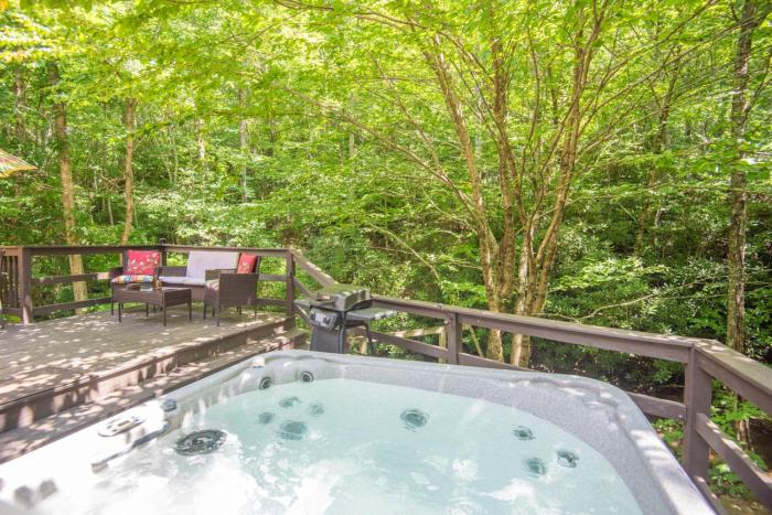 Secluded 2 Bd Cabin- Firepit, Hot Tub, Dogs OK, Sleeps 6
