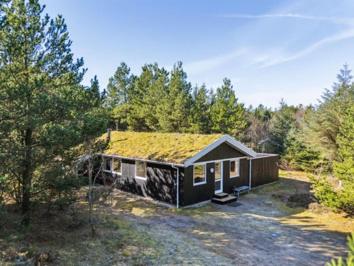 Holiday Home Eriksine - 1-9km from the sea by Interhome