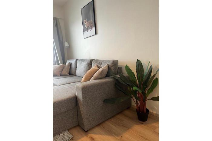 Snowflake XI Family rooms