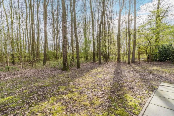 Forest Dream - Heerlijk luxe Boshuisje met Sauna