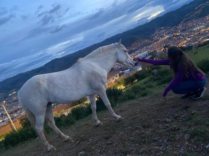 Cabalgatas Culturales en los Andes, Experiencia Auténtica con Caballos en Cusco, Perú