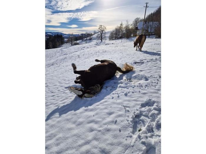 Holiday apartment in St Peter with balcony