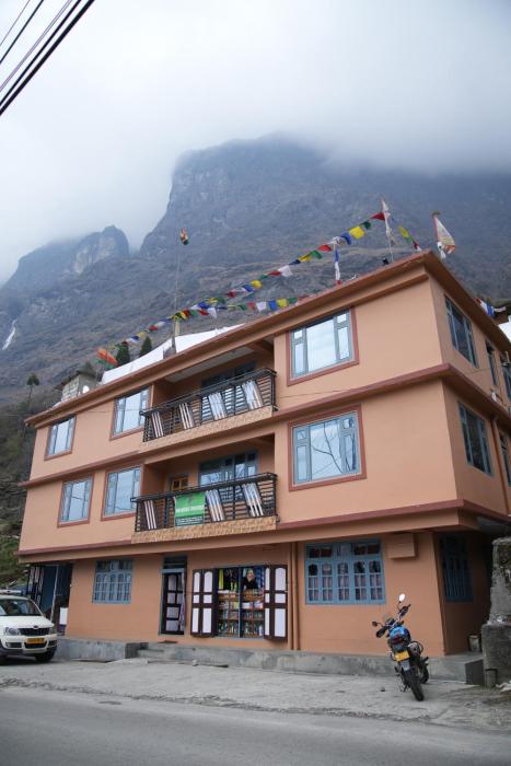 Om Green Tortoise Lachung