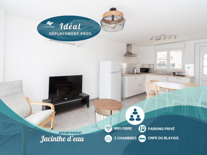 Appart Jacinthe deau - clim - ChelonaLoc
