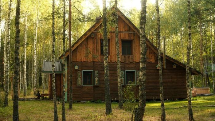 Biały Las Magiczna Stara Chata Puszcza Białowieska