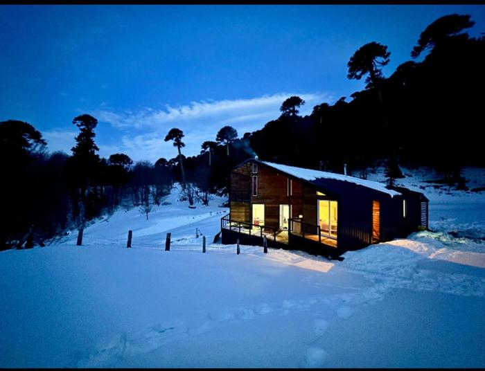 Peumañanku sueño de aguila