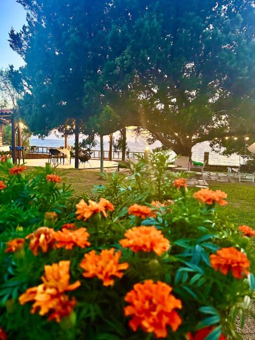 Genari Beach Apartments -Family sea view apartment