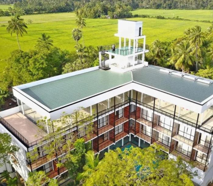 Rain Tree by Oak Ray