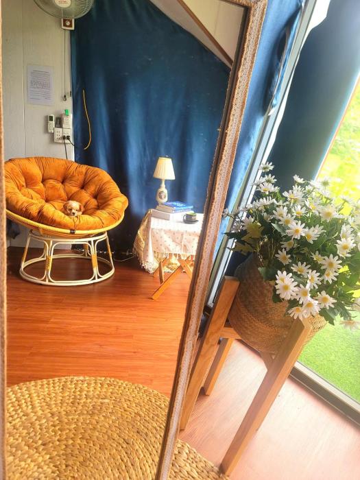 Homstay Mimosa Mộc Châu