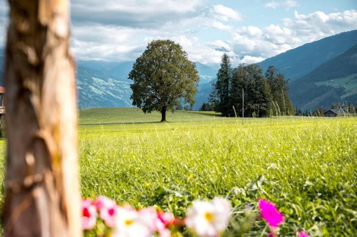 A schöns Platzerl - Apartment Argus