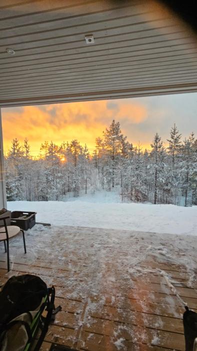 Rakkamaja Modern Forest-View Apartment