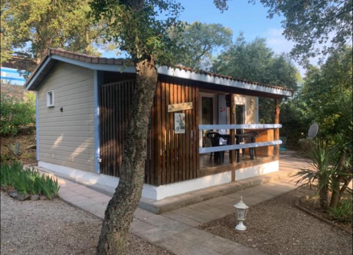 Chalet à Gassin au calme sous les pins