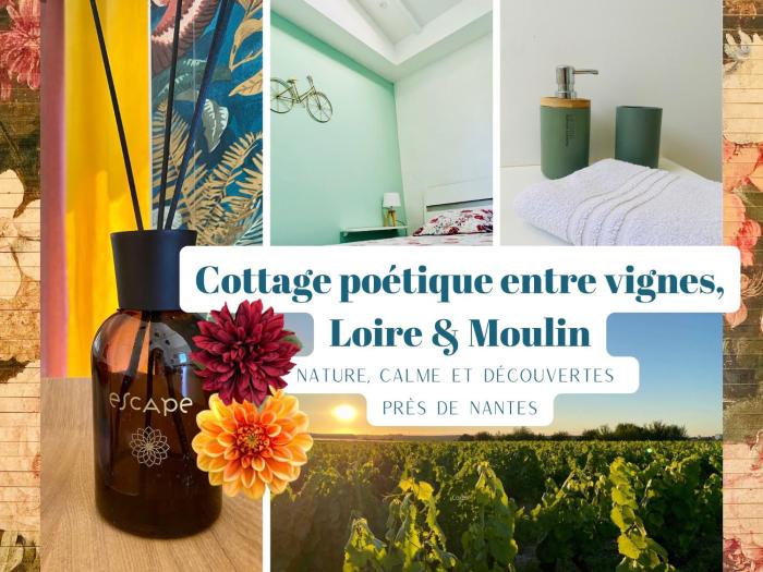 Cottage poétique entre vignes, Loire et moulin
