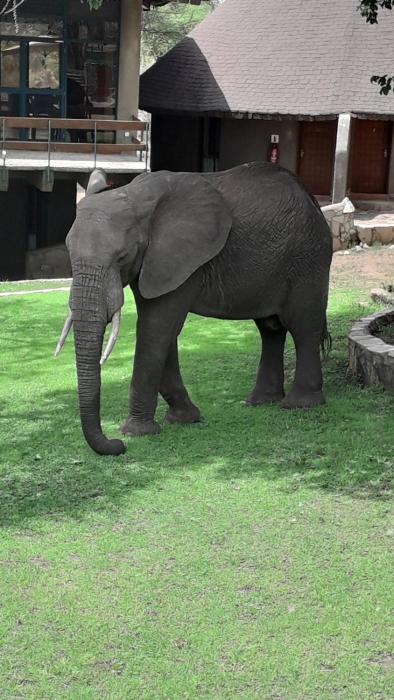 Tarangire Sopa Lodge