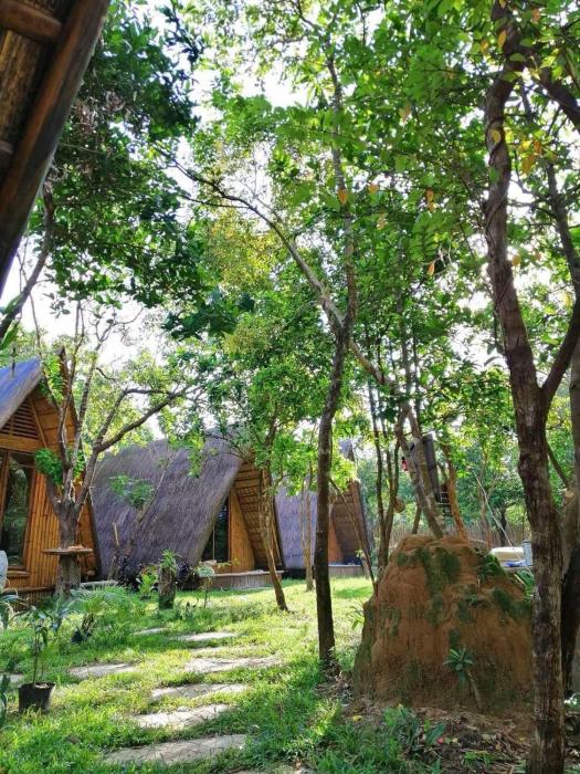 Balili Farm At Nacpan