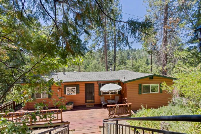Red Cabin in Twain Harte - King bed