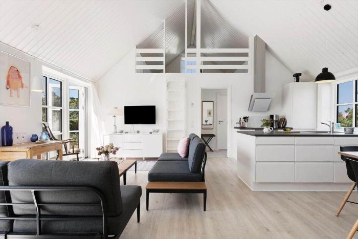 TV1679-Skagen-Doktorstien-2