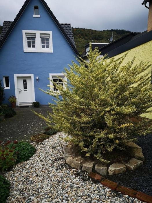 Das blaue Haus