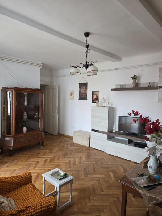 Apartament Rustic in Vila