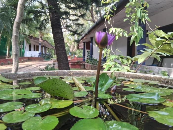 Eco Nature Lodge - Habarana