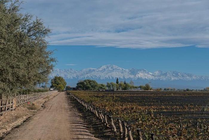 Refugio exclusivo entre Viñedos y Cordillera